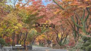 Capturing South Korea, Photography spotlight on Tiger Economy