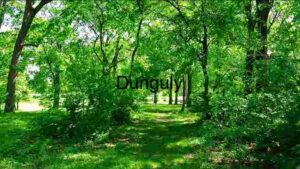 Capturing South Korea, Photography spotlight on Tiger Economy