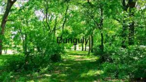 Capturing South Korea, Photography spotlight on Tiger Economy