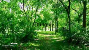 Capturing South Korea, Photography spotlight on Tiger Economy