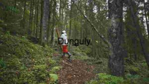 Capturing South Korea, Photography spotlight on Tiger Economy