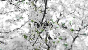 Capturing South Korea, Photography spotlight on Tiger Economy