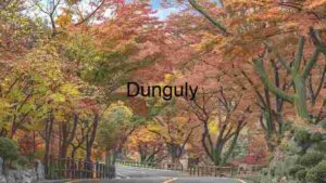 Capturing South Korea, Photography spotlight on Tiger Economy