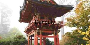 Discover San Francisco, California, USA, through mesmerizing vistas