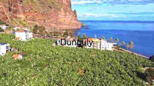 Lugar de Baixo Pico Ruivo