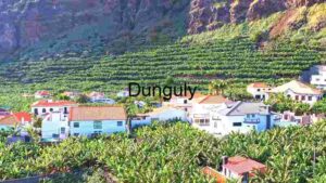 Fruit Canary Islands of Banana