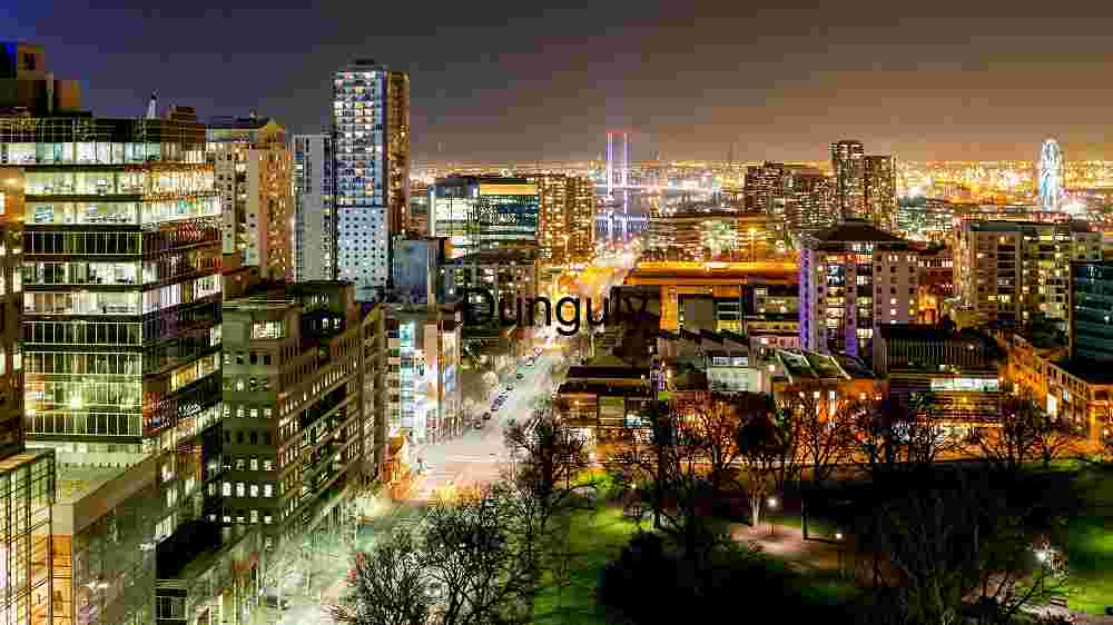 City Lights at Night