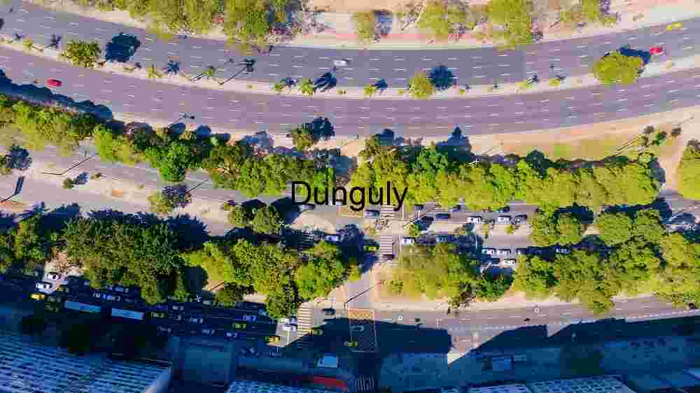 Roads Cutting Through Trees and Grassland