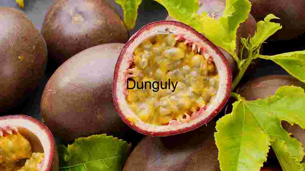 Rare Hybrid Passionfruit