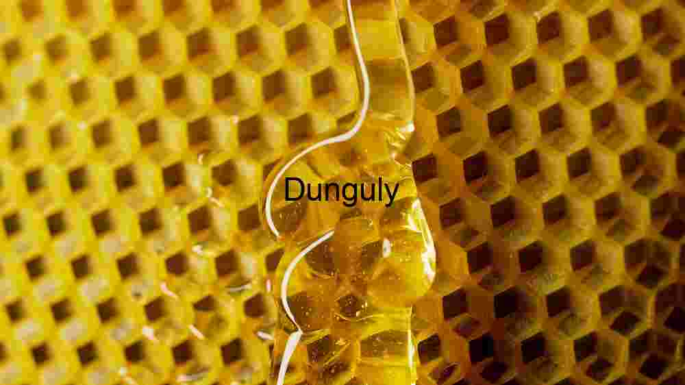 Honeycomb Textured Close Up