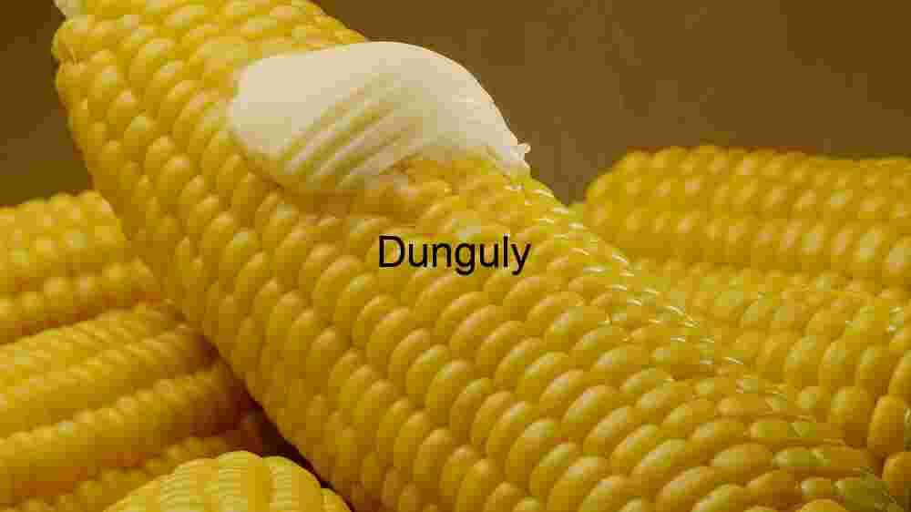 Corn and Melted Butter Close Up