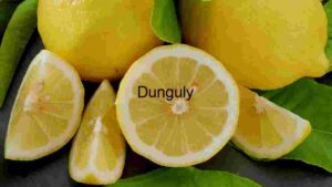 Fresh Lemon with Leaves