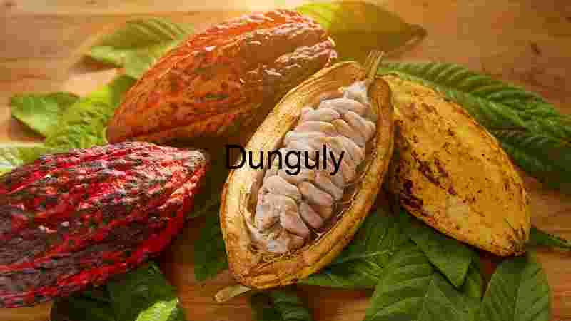 Cocoa Beans with Cocoa Pod