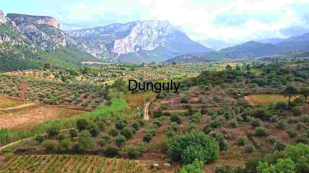 Majestic Mountain Vista and Lush Agricultural Landscape