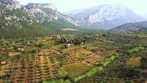 Verdant Valley: A Panoramic View of Agriculture and Nature