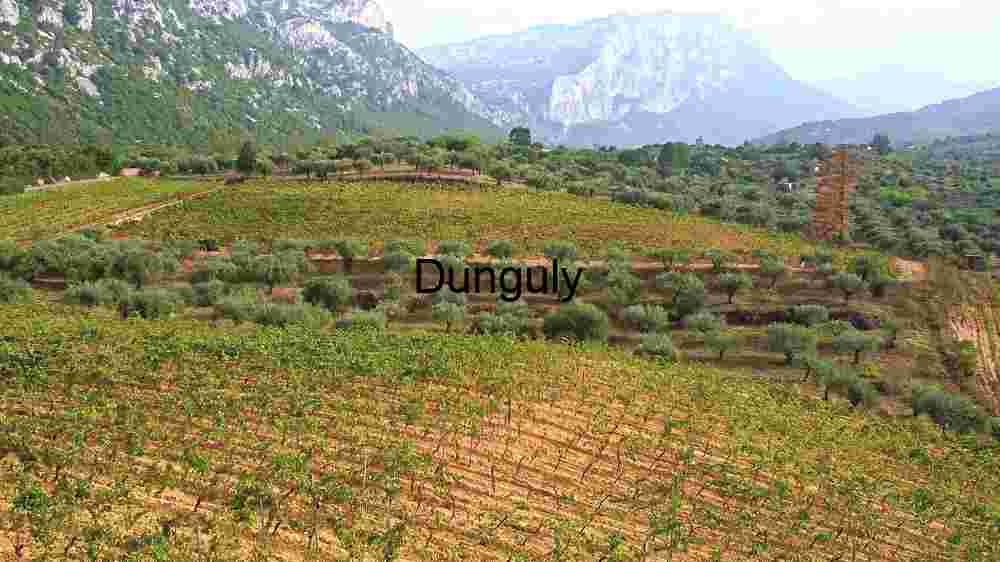 Panoramic View of Agriculture and Nature