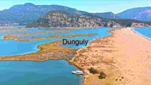 Waterfront Vista Nature Photography