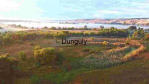 Misty Morning in the Countryside