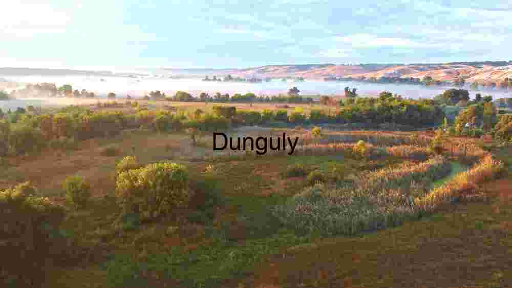 Misty Morning in the Countryside