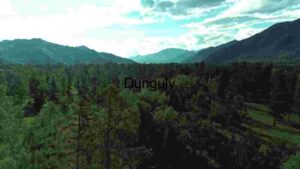 Green Mountain Landscape