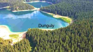 Alpine Forest and Lake