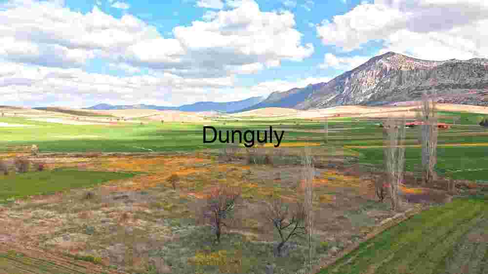 Electric Tranquility: Power Lines Over Spring Fields