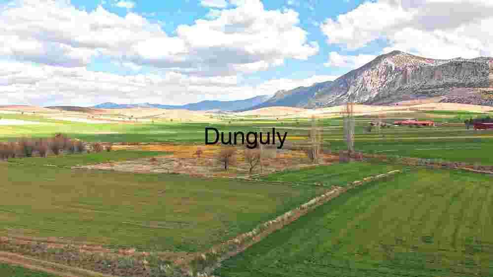 Power Lines Over Spring Fields