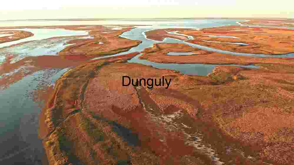 Serene Wetland Ecosystem at Sunset