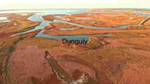 Calm Wetland Ecosystem at Sunset