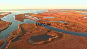 Serene Wetland at Sunset