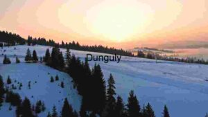 Winter Sunrise Over Snowy Pines