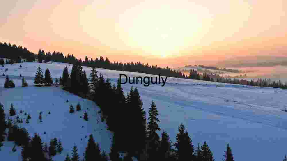 Winter Sunrise Over Snowy Pines