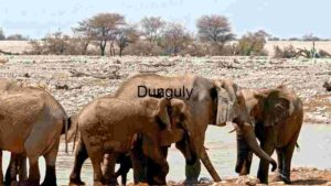 Elephant Herd at a Watering Hole in the African Savannah