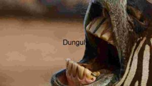 Close-up of a Zebra's Open Mouth