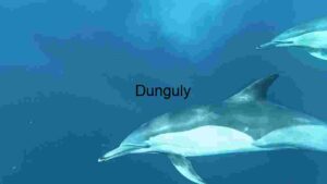 Close Capture of Graceful Pod of Dolphins Gliding Through the Ocean Depths