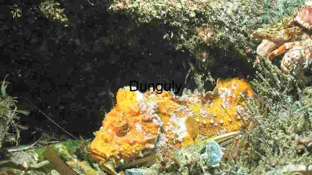 Hidden Wonders of the Sea Floor