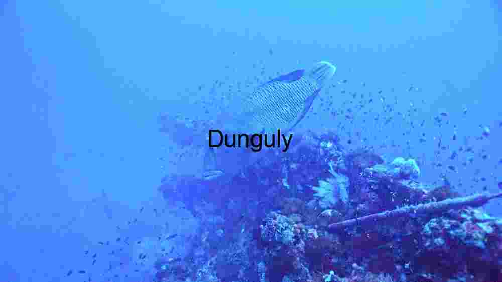 Hidden Wonders of the Sea Floor