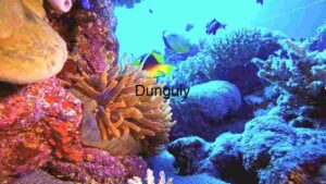 A Glimpse into Aquatic Life