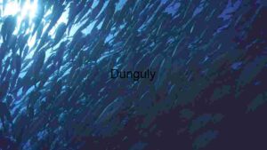 Underwater Serenity: A School of Fish in the Ocean Depths