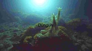 Sunlit Starfish Sanctuary