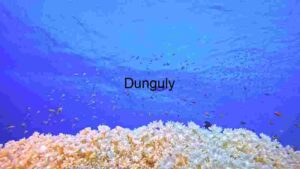 Underwater Serenity: A Glimpse into the Coral Reef Ecosystem