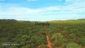 Pathway Through Paradise: South Africa's Vibrant Landscape