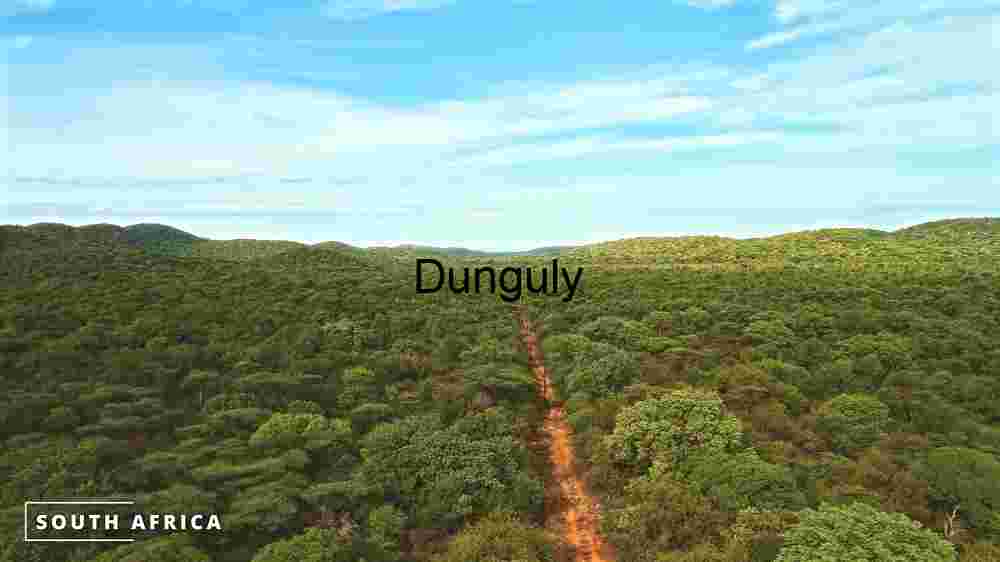 Pathway Through Paradise: South Africa's Vibrant Landscape