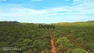 Vibrant Green Landscape in South Africa