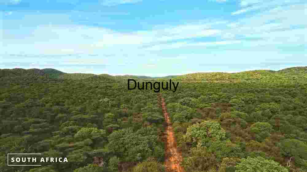 Vibrant Green Landscape in South Africa