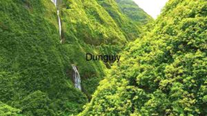 Verdant Valley: A Glimpse of Nature's Splendour