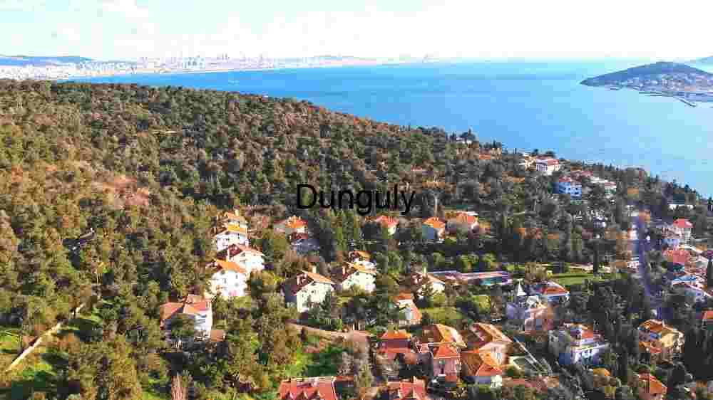 Coastal Elegance: Aerial View of Luxury Seaside Living