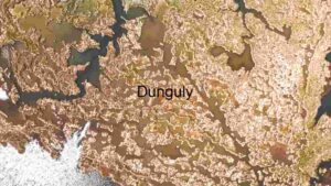 Aerial View of a Wetland Ecosystem