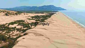 Serene Dunes by the Sea