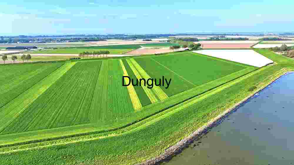 Aerial View of Agricultural Splendor